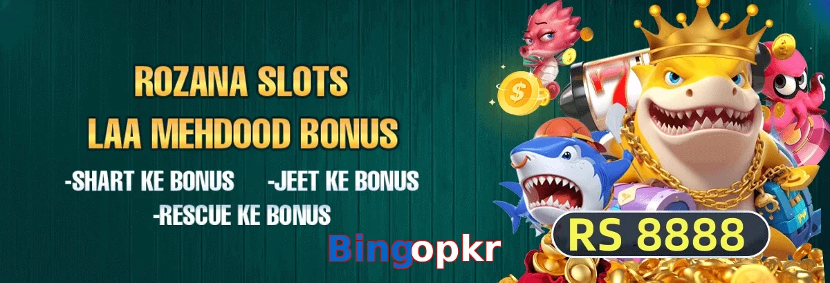 Bingopkr game app for Pakistan players