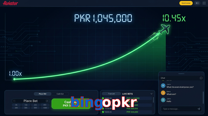 Main screen of Bingopkr aviator page for PK players