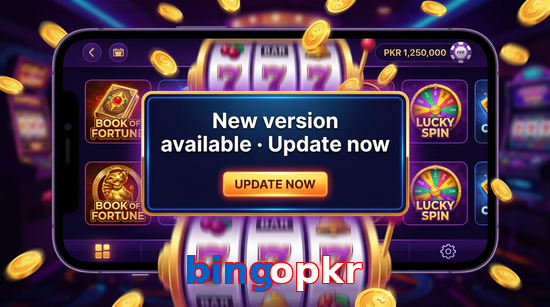 Payment and PKR controls in Bingopkr